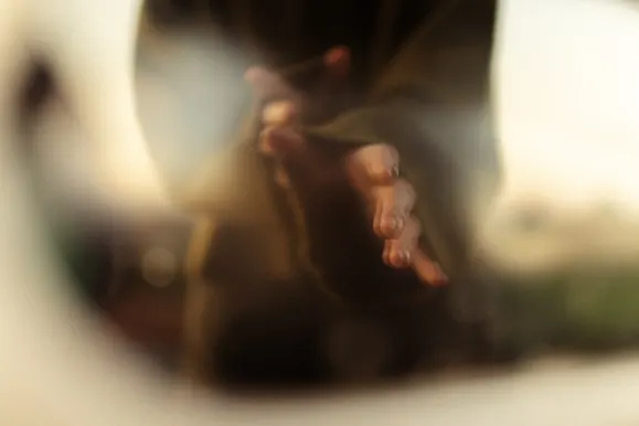 Casino Royal Slots Podrška